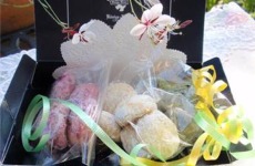 �X�m�[�{�[���N�b�L�[