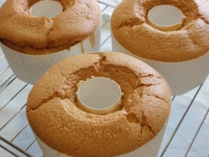 �V�t�H���P�[�L