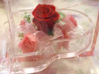 金澤ピアノ教室